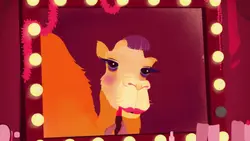 Beauty Pageant Camels