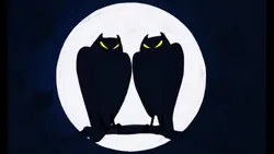 Owl (you need is) Love
