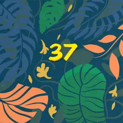 Episodio 37: Boleto reembolsable