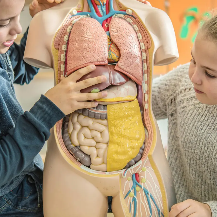 Brains On! Science podcast for kids
