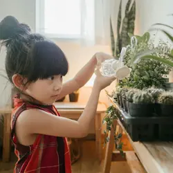 Do plants sleep?