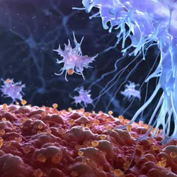 Inside the immune system: Bad robots and friendly monsters