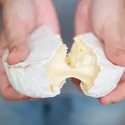 Like bread and cheese? Thank fungus!