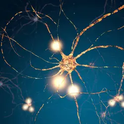 The nerve! Electricity in our bodies