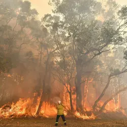 What causes wildfires?