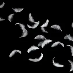 What happens if you drop a feather in space?