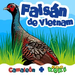 El Faisán de Vietnam: Entre la Guerra y la Esperanza