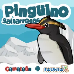 Pingüinos Saltarrocas: ¿Cómo Escalan Tan Alto?