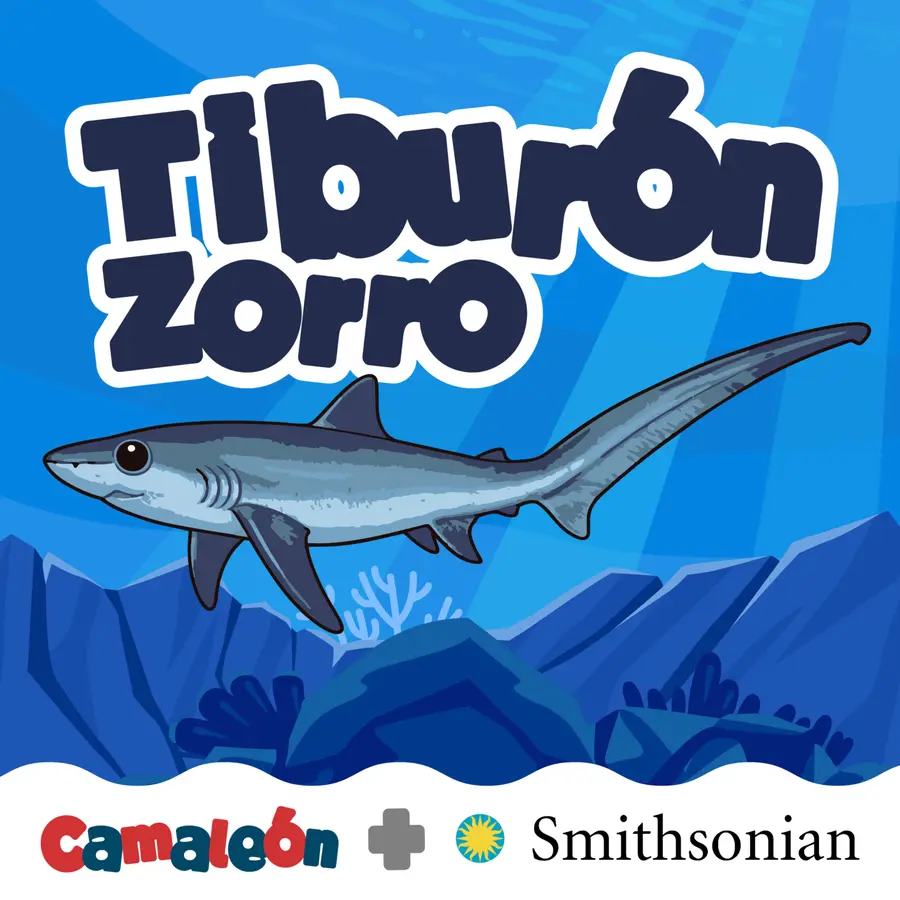 Camaleón: Animales para niños curiosos