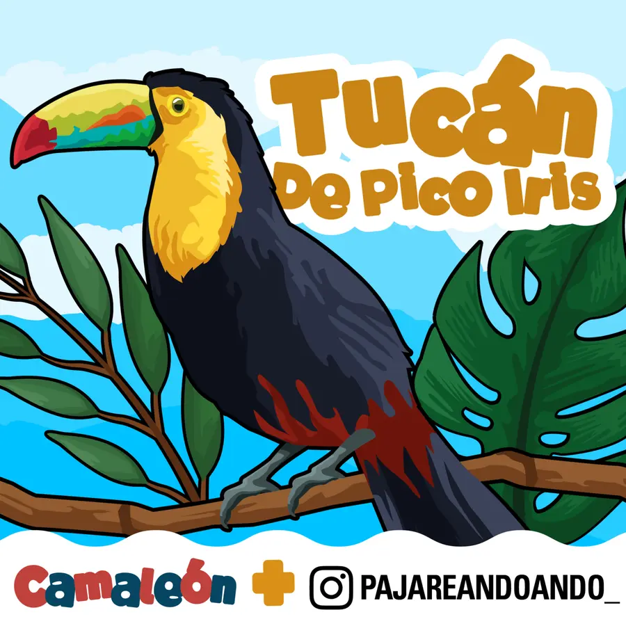 Camaleón: Animales para niños curiosos