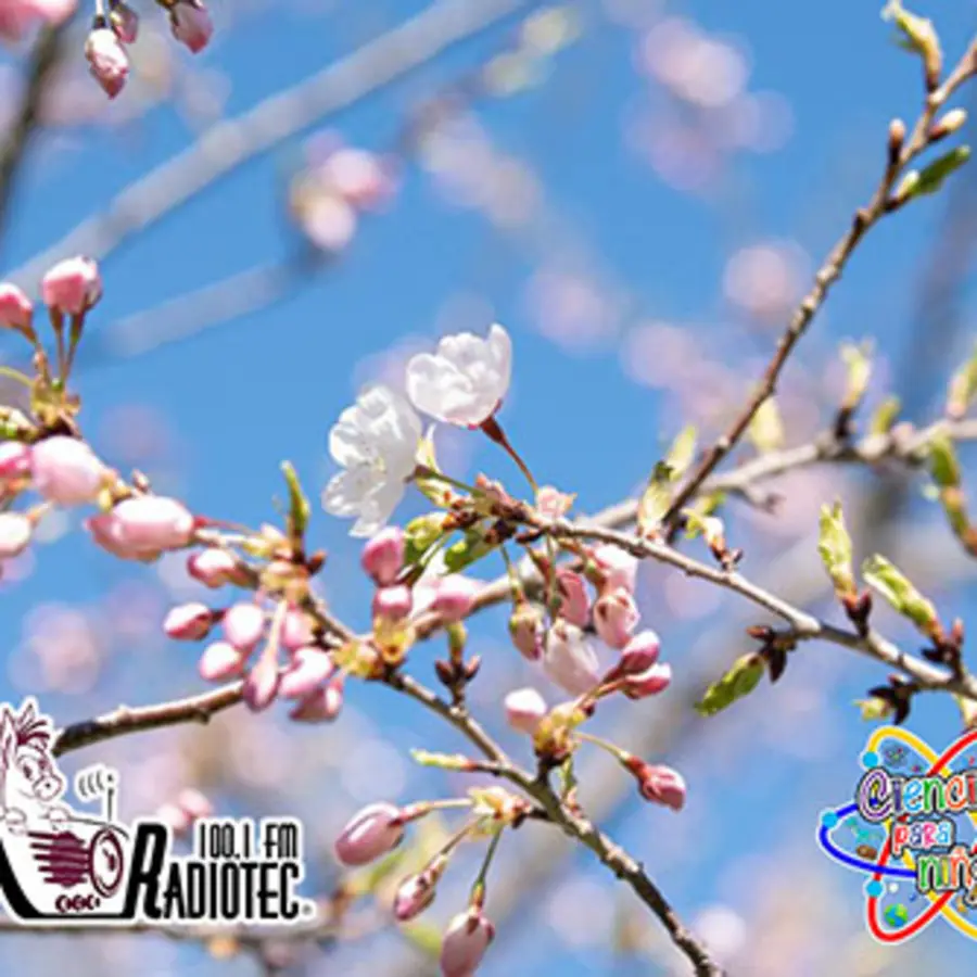 Ciencia para Niños