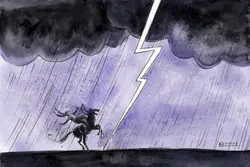The Buffalo’s Shadow