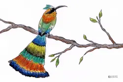 The Clock Bird