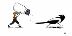 'The Magpie With Salt On Her Tail'  | feat. Rachael Harris and Taran Kilam 