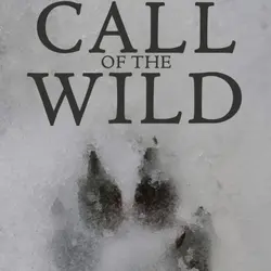 Episode 88 - Reading with my kids - Call of the Wild