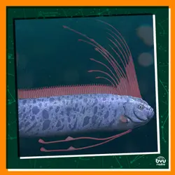 Secrets of the Oarfish