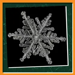 The Snowflake Man