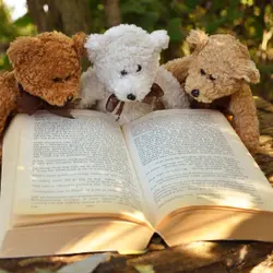 Goldilocks and the Three Bears