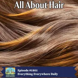 All About Hair