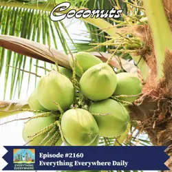 Coconuts: The World’s Most Useful Fruit