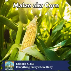 Corn aka Maize