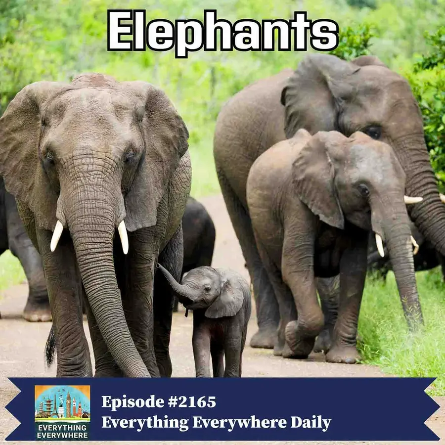 Everything Everywhere Daily: History, Science, Geography & More
