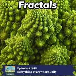 Fractals
