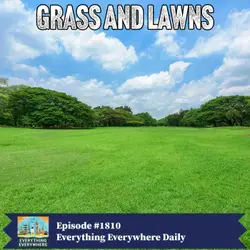 Grass and Lawns