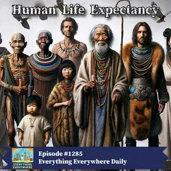 Human Life Expectancy