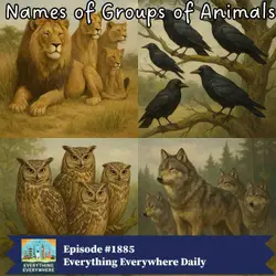 Names of Animal Groups