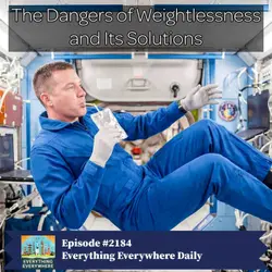 The Dangers of Weightlessness and Its Solutions