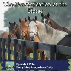 The Domestication of the Horse (Encore)