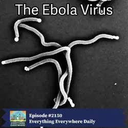 The Ebola Virus