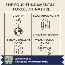 The Fundamental Forces of Nature