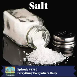 The History of Salt (Encore)