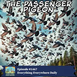 The Passenger Pigeon (Encore)