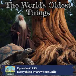 The World's Oldest Things