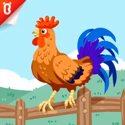 Know the Unknown: Why Can’t Chickens Fly?