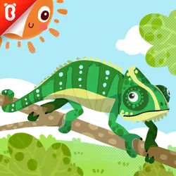 Know the Unknown: Why Do Chameleons Change Color?