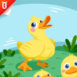 Know the Unknown: Why Do Ducks Waddle?