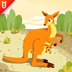 Know the Unknown: Why Is the Kangaroo Pouch More Than a Pocket?
