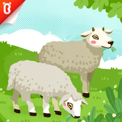 Know the Unknown: Why Is the Little Lamb Always Chewing?