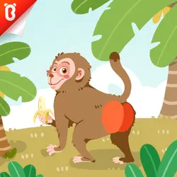 Know the Unknown: Why Is the Monkey Butt Red?