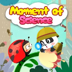 Panda Kiki’s Moment of Science: A Master Climber and Catcher