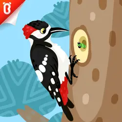 Panda Kiki’s Moment of Science: Dr. Woodpecker’s Assistant