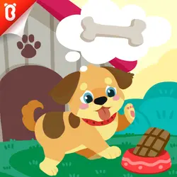 Panda Kiki‘s Moment of Science: Puppies Can‘t Eat Chocolates