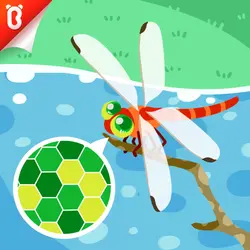 Panda Kiki’s Moment of Science: The Dragonfly Eyes