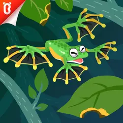 Panda Kiki’s Moment of Science: The Flying Frog