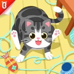 Panda Kiki‘s Moment of Science: The Silent Kitten