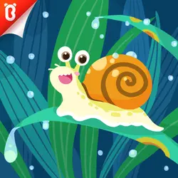 Panda Kiki‘s Moment of Science: The Snail that Carries the House
